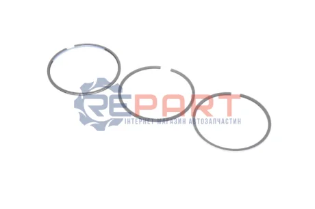 Фото Кольца поршневые KOLBENSCHMIDT (800017110000) изображение 1