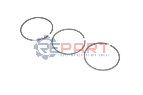 Кільця поршневі MB E-class (W124/W210) 93-02 (87mm/STD) (2.5-2-3) (1cyl) KOLBENSCHMIDT 800017310000 Купити в Україні