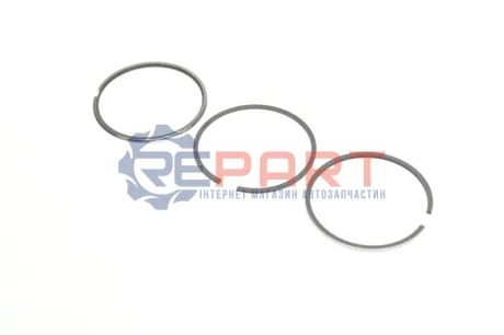 Комплект поршневих кілець KOLBENSCHMIDT 800018411010 Купити в Україні