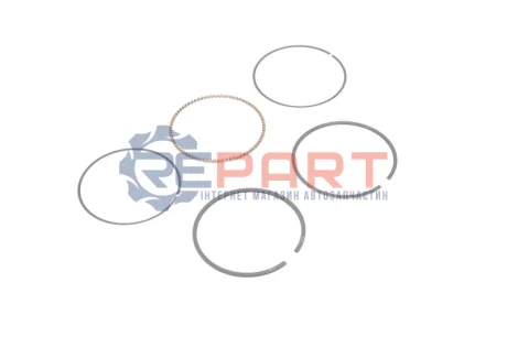 77,01 (+0,50) 1,2-1,5-2,5 Комплект поршньових кілець SEAT CORDOBA, CORDOBA VARIO, IBIZA II, INCA SKODA FELICIA I, FELICIA II, OCTAVIA I VW CADDY II, FOX 1.6 09.92-10.21 SEAT SKODA VW KOLBENSCHMIDT 800026110050 Купити в Україні