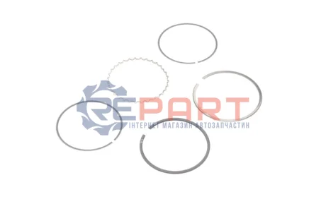 69 (STD) 1,5-2,5-1,5 Комплект поршньових кілець RENAULT CLIO I, CLIO II, KANGOO, KANGOO EXPRESS, TWINGO I 1.2/1.2LPG 01.96- RENAULT KOLBENSCHMIDT 800037510000 Купити в Україні