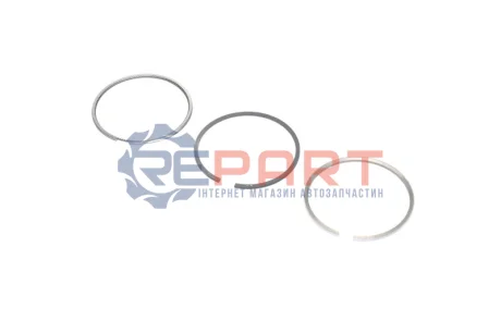 Комплект поршневих кілець KOLBENSCHMIDT 800046010000 Купити в Україні