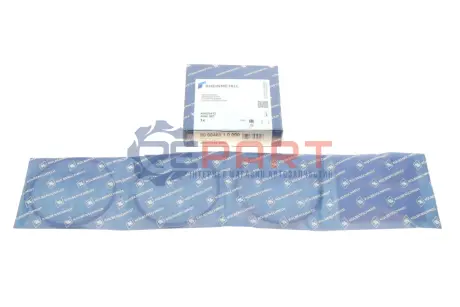 Кільця поршневі MB Sprinter 2.2/2.7CDI (88.00mm/STD) (2.5-2-3) KOLBENSCHMIDT 800048010000 Купити в Україні