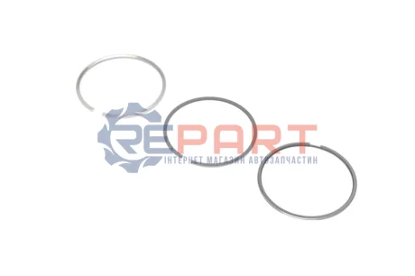 Комплект поршневих кілець KOLBENSCHMIDT 800052510050 Купити в Україні