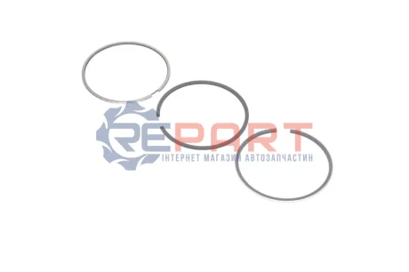 Комплект поршневих кілець KOLBENSCHMIDT 800056210040 Купити в Україні