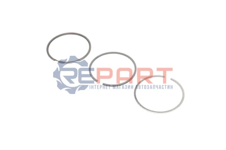 Кільця поршневі VW Caddy/Golf/T4 1.9TDI/2.4D (79.50mm/STD) (1.75-2-3) KOLBENSCHMIDT 800072510000 Купити в Україні