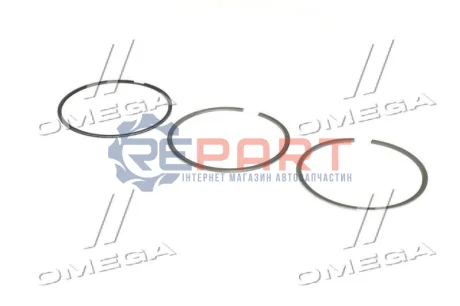 Комплект поршневих кілець KOLBENSCHMIDT 800110110000 Купити в Україні