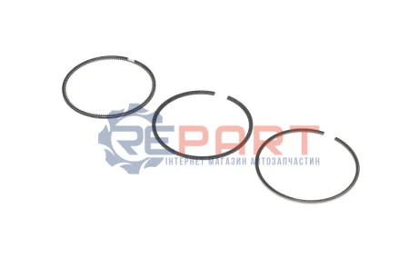 Кільця поршневі Nissan Pathfinder 2.5 dCi 05- (89.00mm/STD) (2-2-3) KOLBENSCHMIDT 800110410000 Купити в Україні