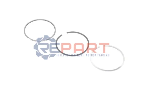 Кільця поршневі Fiat Punto/Fiorino 1.3D 07- (69.60mm/STD) (1.5-1.5-2) KOLBENSCHMIDT 800112010000 Купити в Україні