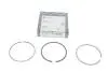Фото Кільця поршневі VW Passat B8/Touran/Skoda Octavia III 1.6TDI 14- (79.50mm/STD) (1.75-2.0-2.0) KOLBENSCHMIDT (800115310000) зображення 2