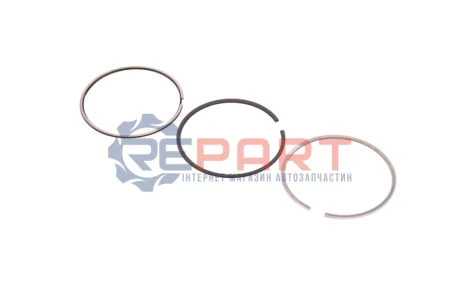 Кільця поршневі Renault Megane 11-/Trafic 1.6DCI/Opel Vivaro 1.6CDTI 14- (80.00mm/STD) (2-1.75-2) KOLBENSCHMIDT 800116011000 Купити в Україні