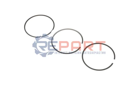 Кільця поршневі BMW 5 (F10) 2.0d (B47) 13- (84.0mm/STD) KOLBENSCHMIDT 800119510000 Купити в Україні