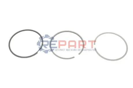 Кільця поршневі Renault Kangoo 1.5dCI 08- (76.00mm/STD) (2-2-2.5) KOLBENSCHMIDT 800120710000 Купити в Україні