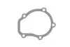 Прокладка насоса охолоджуючої рідини DAEWOO MATIZ, TICO 0.8 02.95 KOREA (D10001AD) зображення 1