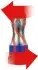 Автозапчастина KS TOOLS (9183010) зображення 5