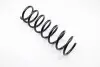 Пружина амортизатора RA6411