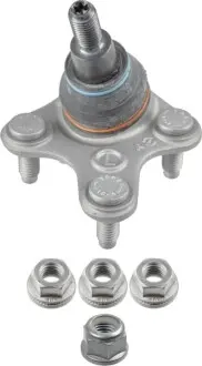 Шарова опора Лів (передн) (діаметр конуса 22mm) AUDI Q3 FORD TOURNEO CONNECT V761 NADWOZIE WIELKO, TRANSIT CONNECT V761 VW CADDY CALIFORNIA V CAMPER, CADDY V 1.5-2.0D 09.20 Lemförder 43556 01 Купити в Україні