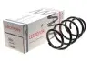 Фото Пружины подвески LESJOFORS (4062102) изображение 2