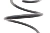 Пружина (передня) Toyota C-HR 2.0 Hybrid 19- (SUV) LESJOFORS (4092669) зображення 3