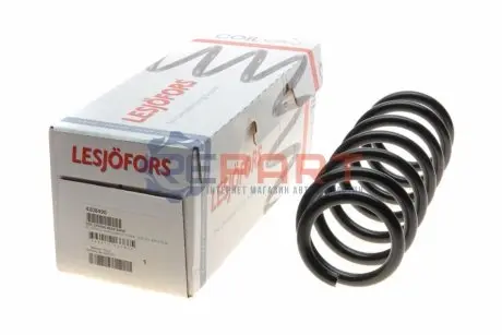 Пружина підвіски задн Лів/Прав BMW X3 (F25), X4 (F26) 2.0-3.0D 09.10-03.18 LESJOFORS 4208490 Купити в Україні