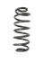 Задняя пружина подвески LESJOFORS (4226161) изображение 1