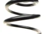Фото Пружина підвіски задн Лів/Прав OPEL SIGNUM 1.8-3.0D 05.03-12.08 LESJOFORS (4263458) зображення 2