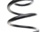 Фото Пружина підвіски задн Лів/Прав SKODA YETI VW GOLF PLUS V, GOLF V, GOLF VI 1.2-2.0D 10.03-12.17 LESJOFORS (4285734) зображення 2