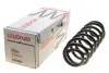 Пружина (задня) VW Passat 1.4TSI/2.0TDI/FSI 4mot. 05-14 (ун/сед.)/Skoda Superb II 3.6 V6 4x4 09-15 4295084