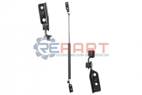 Амортизатор багажника LESJOFORS 8162024