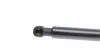 Фото Амортизатор кришки багажника Nissan Note 06-12 (вен/фургон) LESJOFORS (8162041) зображення 3