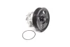Помпа води Fiat Doblo 1.3D/JTD/Opel Combo/Astra H/J/Corsa D/E 1.3CDTI 05- (R/B) (6 лоп.) WP0681