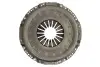 Вижимний диск зчеплення (310мм) CASE IH 100 U, 100 U MAXXIMA, 1070 U, 1070 U MAXXIMA, 1080 U, 1080 U MAXXIMA, 1090 U, 1090 U MAXXIMA, 1100 U, 1100 U MAXXIMA, 70 U, 70 U MAXXIMA, 80 U, 80 U MAXXIMA LuK (131024910) зображення 1