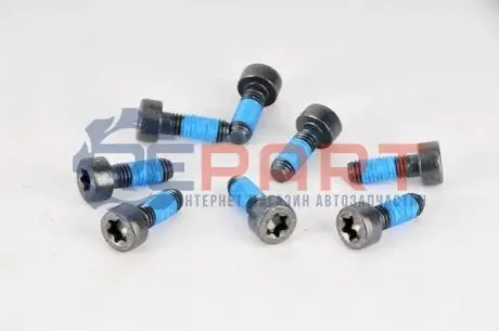 Болти маховика (к-кт 8 шт) Opel Combo 1.3 CDTI 04- LuK 411 0124 10 Купити в Україні