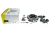 Комплект зчеплення Renault Megane/Scenic 1.5dCi 08- (АКПП), DC4.000/DC4.001 602000500