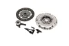 Комплект сцепления Renault Megane/Scenic II 2.0 dCi 05-09 (d=250mm) (+выжимной)) LuK 625 3038 34
