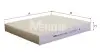 Фото Фільтр салону Nissan Almera/Primera/Tino 00-/Lexus GS/IS/RC 12 M-FILTER (K926) зображення 1