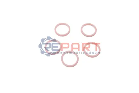Кільце ущільнююче (O-ring) Renault (5 шт.) Magneti Marelli 007950024400 Купити в Україні
