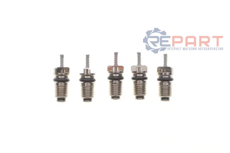 (к-кт 5шт) Комплект заправочных клапанов (21,55x7mm) Magneti Marelli 007950024440