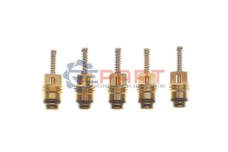 Комплект заправних клапанів Standard (21,55x7mm) (5 шт.) Magneti Marelli 007950024470 Купити в Україні