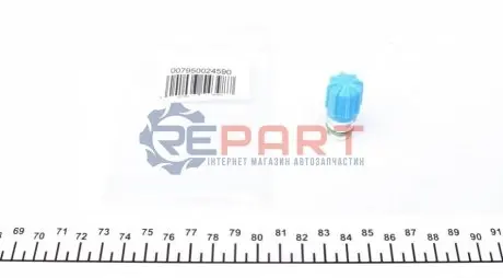 Сервісний порт (13 x 1,1) Magneti Marelli 007950024590 Купити в Україні