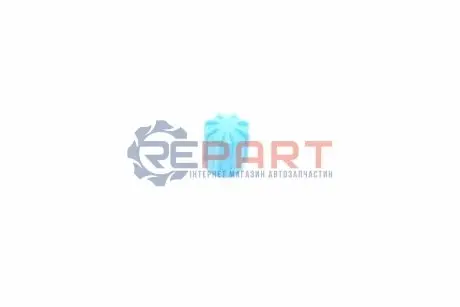 Сервісний ковпачок заправочних портів M8x1 Magneti Marelli 007950026250 Купити в Україні