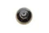 Фото Напірний бак АКПП ALFA ROMEO 147, 156, GT FIAT 500, 500 C, DOBLO, DOBLO CARGO, FIORINO, GRANDE PUNTO, IDEA, PANDA, PUNTO, PUNTO EVO, QUBO, STILO LANCIA MUSA, YPSILON 02.97 Magneti Marelli (024000001010) зображення 4