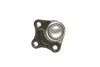Фото Опора кульова (передня/знизу/R) Audi A3/VW Golf IV 1.4-2.8 96-06 (к-кт) Magneti Marelli (301191617760) зображення 2