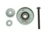 Фото Ролик генератора Skoda Fabia/Roomster/VW Fox/Polo 1.2 01- (паразитний) (76x24) (MPQ0599) Magneti Marelli (331316170599) зображення 1