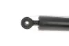Фото Амортизатор задн Лів/Прав FIAT PUNTO 1.2-1.9D 09.99-03.12 Magneti Marelli (351772070000) зображення 2