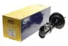 Фото Амортизатор przуd PANDA 03- L 1.1/1.2/1.3MJTD przуd Magneti Marelli (351947079200) изображение 2