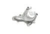 Фото Помпа води Ford Fiesta/Escort/Orion 1.8D 88-02/Mazda 121 III 1.8D 96-03 (WPQ0155) MAGNETI MARELLI (352316170155) зображення 7
