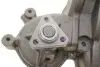 Фото Помпа води Fiat Duna 1.7DS 87-91/Fiorino 1.7D 88-99 (WPQ0312) MAGNETI MARELLI (352316170312) зображення 6