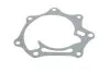 Фото Насос охолоджуючої рідини, з ущільненням FORD MAVERICK NISSAN PICK UP, TERRANO I, TERRANO II 2.7D 09.87-09.07 Magneti Marelli (352316170798) зображення 8