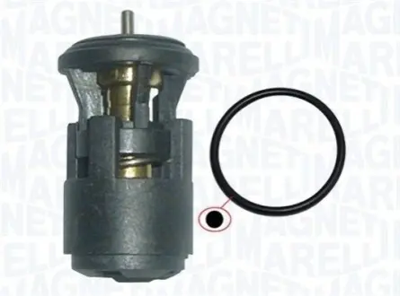 Термостат Magneti Marelli 352317002860